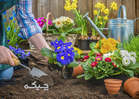 نگهداری باغچه و فضای سبز