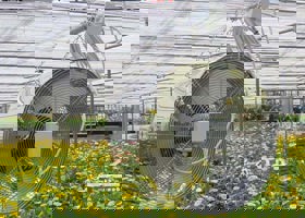 تعمیر تجهیزات سرمایش گلخانه 