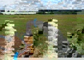 رسوب زدایی و احیای چاه آب