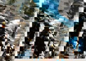 سیستم هوشمند امنیت و حفاظت