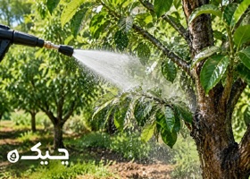 شستشوی درختان