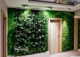 اجرای دیوار سبز و لابی گاردن